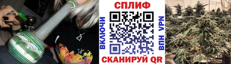Все наркотики Королёв Гашиш  МАРИХУАНА  АМФ  Меф мяу мяу  A-PVP 