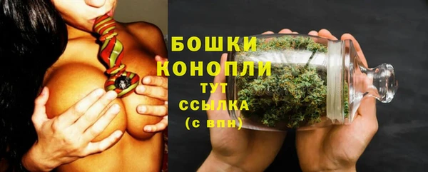 прущий лед Абаза