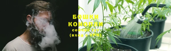 прущий лед Абаза