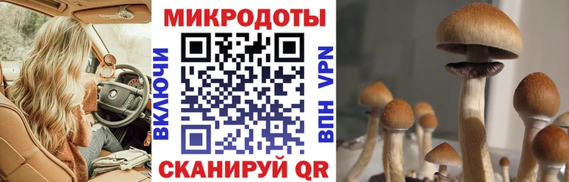 Псилоцибиновые грибы мицелий  OMG вход  Королёв 